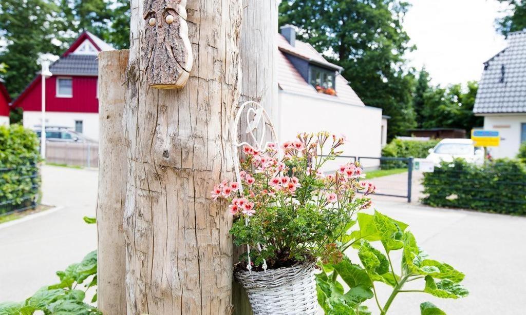 Sonnenblumenhaus 02 Lejlighed Prerow Eksteriør billede